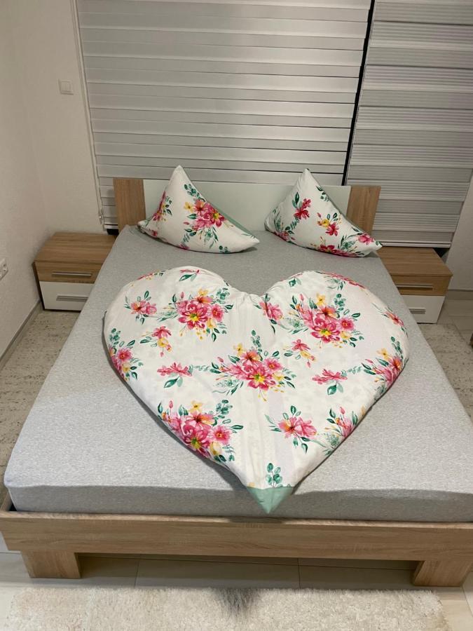 Apartman Cuprija 察津 外观 照片